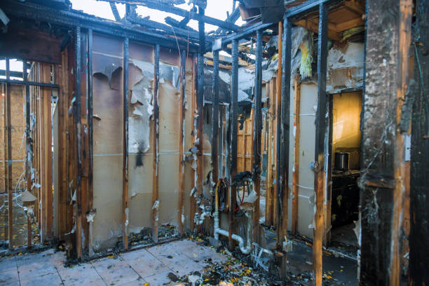 Professional Fire Damage Removal technician working in Minnesota, MN